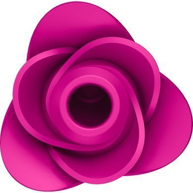 Вакуумний кліторальний стимулятор Satisfyer Pro 2 Modern Blossom SO8776 фото