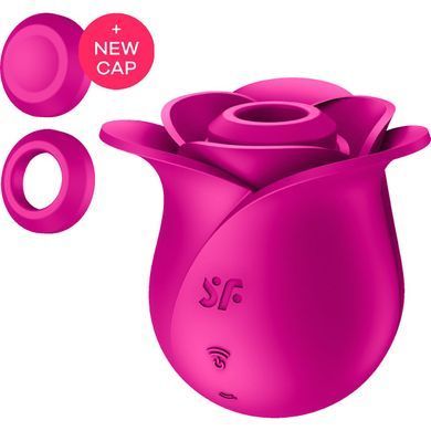 Вакуумний кліторальний стимулятор Satisfyer Pro 2 Modern Blossom SO8776 фото