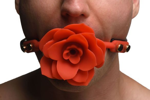 Кляп Master Series Blossom Silicone Rose Gag - Red SO8801 фото Кляп Master Series Blossom Silicone Rose Gag - Red SO8801 фото
