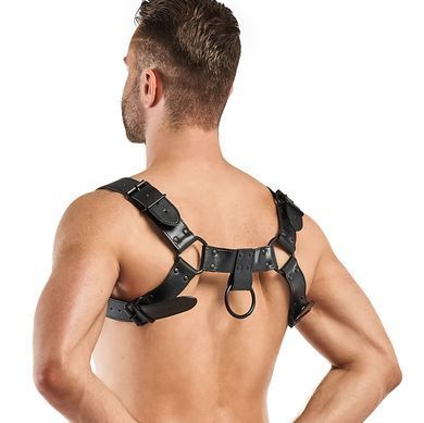 Портупея Bedroom Fantasies Bruno Chest Bulldog Harness - Black SO8828 фото