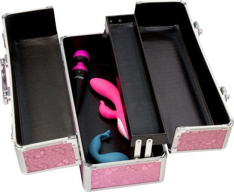 Кейс для зберігання секс-іграшок BMS Factory - Large Lokable Vibrator Case Pink SO8900 фото