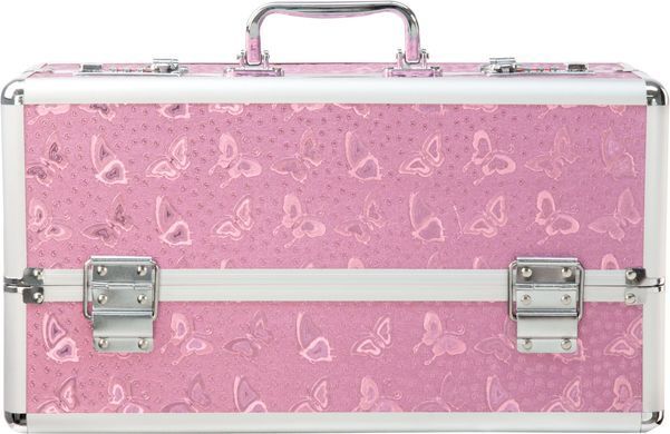 Кейс для зберігання секс-іграшок BMS Factory - Large Lokable Vibrator Case Pink SO8900 фото