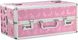 Кейс для зберігання секс-іграшок BMS Factory - Large Lokable Vibrator Case Pink SO8900 фото 2
