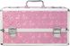 Кейс для зберігання секс-іграшок BMS Factory - Large Lokable Vibrator Case Pink SO8900 фото 3