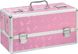 Кейс для зберігання секс-іграшок BMS Factory - Large Lokable Vibrator Case Pink SO8900 фото 1