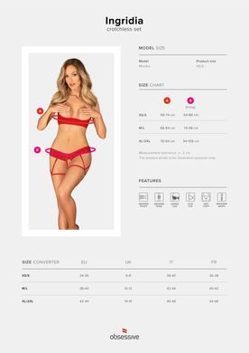 Комплект Obsessive Ingridia 2-pcs crotchless set XS/S SO9031 фото
