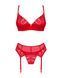 Комплект Obsessive Ingridia 3-pcs set XS/S SO9034 фото 3