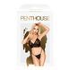Комплект браллет и стринги Penthouse - Double Spice Black L/XL SO5244 фото 3