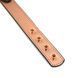 Нашийник із затискачами для сосків Liebe Seele Rose Gold Memory Collar with Nipple Clamps SO9495 фото 4