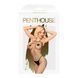 Бодістокінг у велику сітку Penthouse - Body Search Black XL SO5238 фото 2